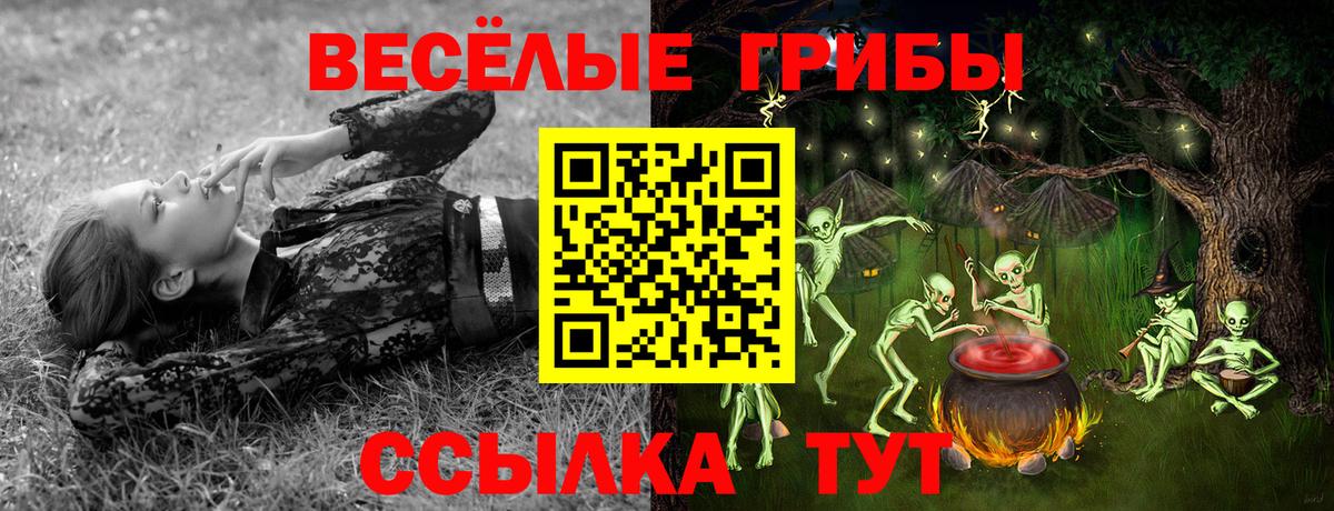 Псилоцибиновые грибы ЛСД  Псилоцибиновые грибы Cubensis  Гусиноозёрск  Вход с VPN 